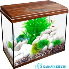 Аквариум A-30 LED  Крышкой LED прямой 42*22*35 (Орех)