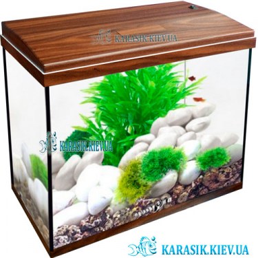 Аквариум A-30 LED  Крышкой LED прямой 42*22*35 (Орех)