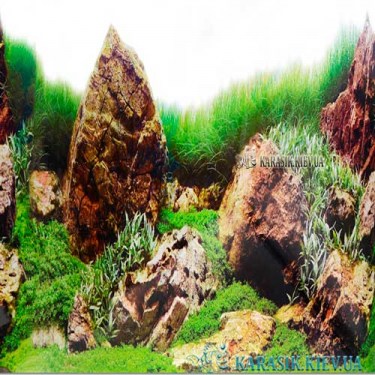 Аквариумный односторонний фон YH002 высота 50 см