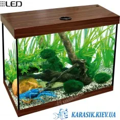 Аквариум A-35 с Крышкой LED прямой 40*25*39 (Орех)