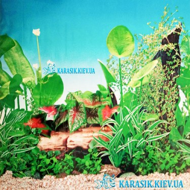 Аквариумный фон высота 40 см. - Карасик Киев