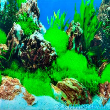 Фон для Аквариума Камни