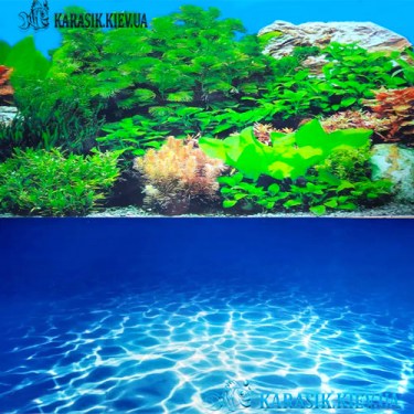 Аквариумный Двухсторонний Фон высота 30 см. синий