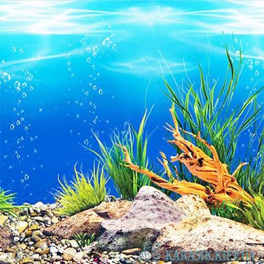 Аквариумный Односторонний Фон № 1648