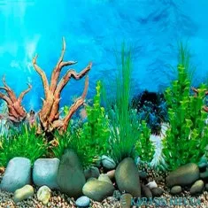 Аквариумный односторонний фон высота 40 см. за 10 см.