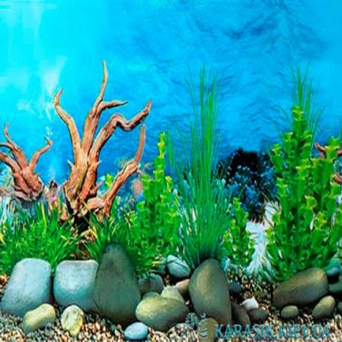 Аквариумный фон Море - Голубой 