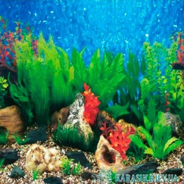 Аквариумный фон 9091 - KARASIK