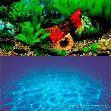 Фон для аквариума - Вода - Зелень | Karasik Kiev