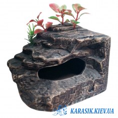 Вылаз для черепахи