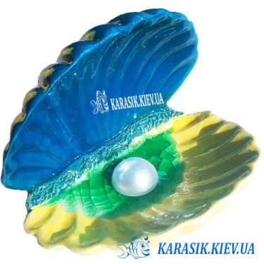 Морская Раковина с Жемчугом Желто Голубая