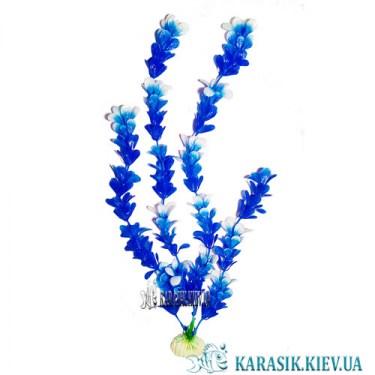 Растения для Аквариума - KARASIK.KIEV.UA