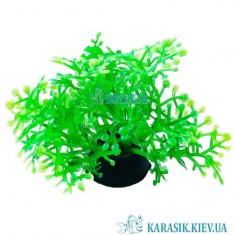 Искусственные Аквариумные Растения -1191 | karasik.kiev.ua
