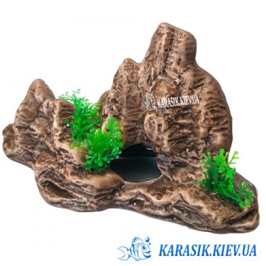 Аквариумная Скала 