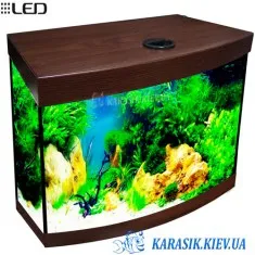 Аквариум О-50 LED Крышкой Овал 60*30*34 Венге