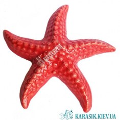 Морская Звезда Красная - Декор для Аквариума