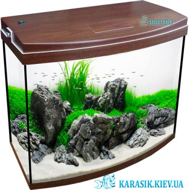 Аквариум с Крышкой О-25 LED овал 40*20*34 (Венге) | Красивый аквариум