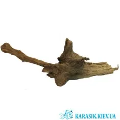 Коряга Натуральная в Аквариум  -  1199