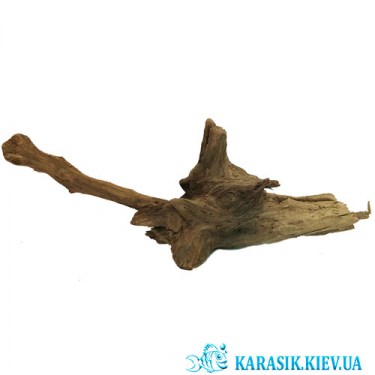 Натуральная Коряга для Аквариума - KARASIK.KIEV.UA