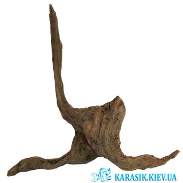 Натуральная Коряга в Аквариум