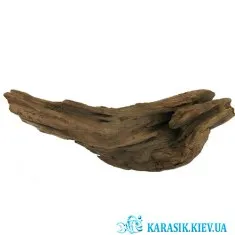 Коряга Натуральная в Аквариум  -  949