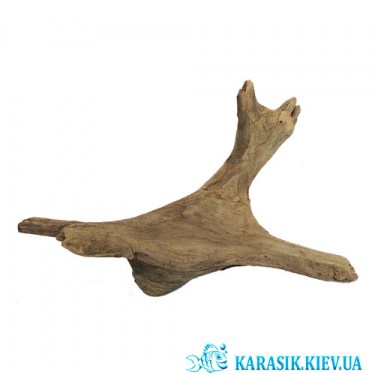 Аквариумная Коряга 