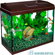 Аквариум с Крышкой A-100 LED прямой 77*30*49 (Венге)