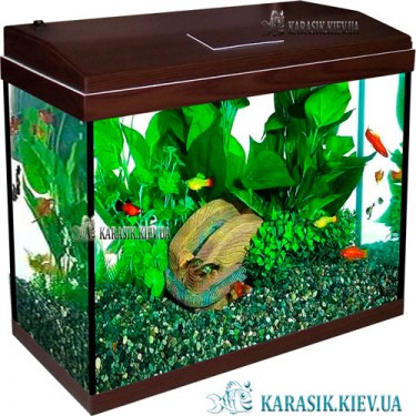 Аквариум с Крышкой A-70 LED прямой 60*30*44 (Венге)