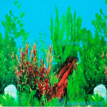 Аквариумный фон высота 40 см. - Карасик Киев