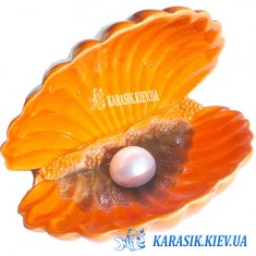 Морская раковина с жемчугом Оранжевая